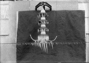 Freileitungstechnik. Isolatorenkette mit Eisbehang. Radebeul-Kötzschenbroda, Elektroarmaturenwerk JWH
