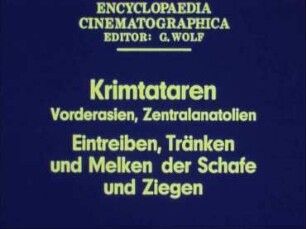 Krimtataren (Vorderasien, Zentralanatolien) - Eintreiben, Tränken und Melken der Schafe und Ziegen