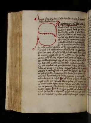 Guilelmus de Sancto Theodorico: Liber 1