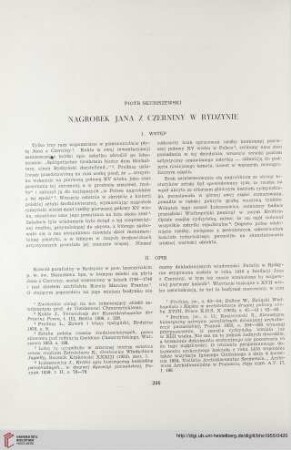 17: Nagrobek Jana z Czerniny w Rydzynie