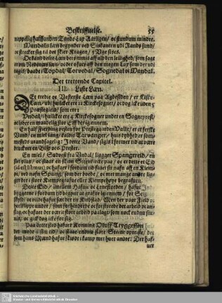 Det trettende Capitel. III. Liste Læn