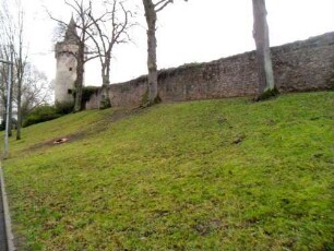 Stadtbefestigung - Ansicht im Osten von Nordosten mit Stadtmauer (Wehrgang abgetragen) und Pulverturm in Übersicht