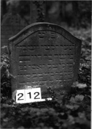 Grabstein 212 (Index: 99803288) Material: Sandstein Zustand: unten leicht verwittert und eingesunken Maße HxBxT: 49x44x9 cm Beschreibung: Stele mit Karniesbogen und profiliertem Rand: Grabstein 212