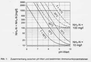 Zusammenhang zwischen pH-Wert und bestimmten Ammoniumkonzentationen