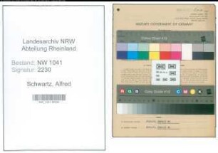 Entnazifizierung Alfred Schwartz , geb. 02.02.1902 (Fabrikant)