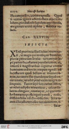 Caput XXXVVIII: Insecta