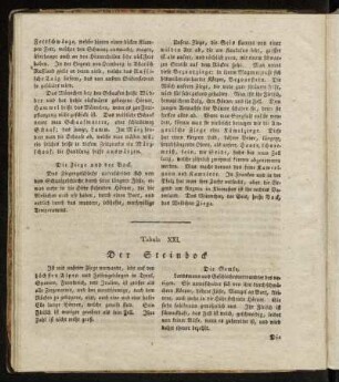 Tabula XXI. Der Steinbock... - Tabula XXII. Der Ochs, die Kuh, das Kalb.