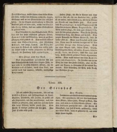 Tabula XXI. Der Steinbock... - Tabula XXII. Der Ochs, die Kuh, das Kalb.