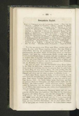 Neunzehntes Kapitel.