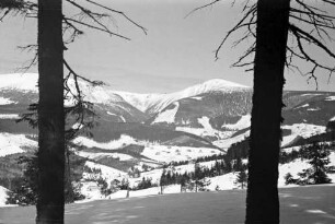 Schneepkoppe: Blick auf die Koppe, von der Stufenseite