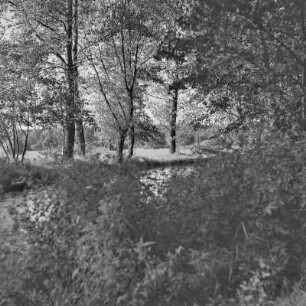 Landschaftsbild. Fließgewässer im Spreewald. : Wobraz krajiny. Groble w Błótach.