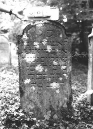 Grabstein 367 (Index: 99799694) Material: Sandstein Zustand: stark verwittert Maße HxBxT: 113x55x7 cm Beschreibung: Stele, eingezogener Korbbogenabschluß, Schriftfeld eingetieft: Grabstein 367