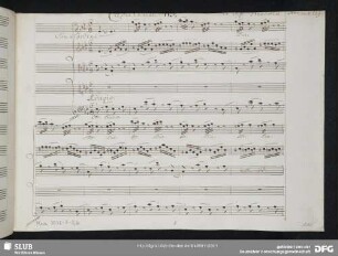 Cavatina: Povero cor tu palpiti
