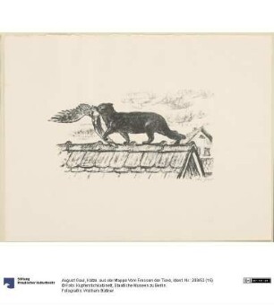 Katze. aus der Mappe Vom Fressen der Tiere