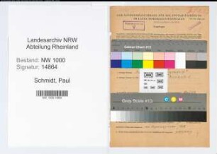 Entnazifizierung Paul Schmidt, geb. 13.04.1901 (Angest.)