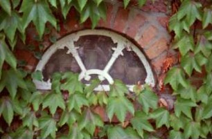 Fritz-Berodt-Straße 6: traufständiges Bauernhaus aus Backstein: Detailaufnahme: Halbrundfenster: Kletterpflanzen