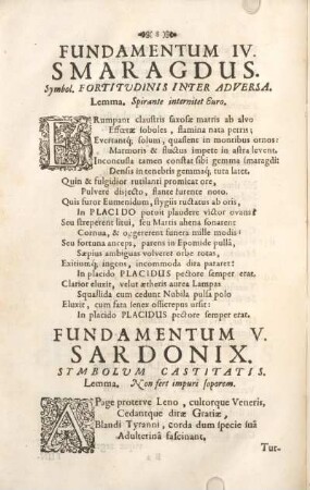 Fundamentum V. Sardonix.