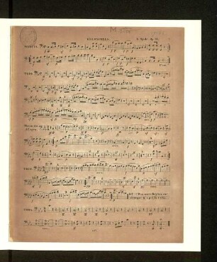 Violoncello.