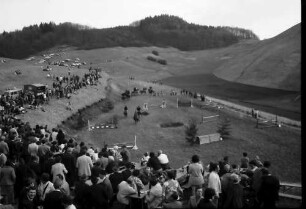 Vogtsburg: Reitturnier, Publikum auf den Hängen