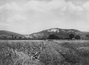 Die Bergstraße bei Schriesheim : Geologie | Geologische Charakterbilder | Der Odenwald bei Heidelberg sein Abbruch zum Rheine
