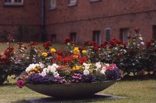 Finanzamt: Bangertstraße: Schale mit bunten Sommerblumen: dahinter Rosenbüsche: hinten Gebäude