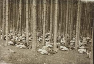 Kaisermanöver