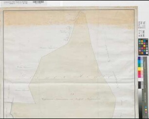 Coerde (Münster) Gelmer (Münster) Plaggenmaht des Hauses Coerde und der eigenbehörigen Höfe in der Coerder und Gelmer Heide Original 1803 100 Ruten = 18,7 cm 188 x 83 kol. Zeichnung A. W. Brockmann, Hauptmann KSM Nr. 185,2