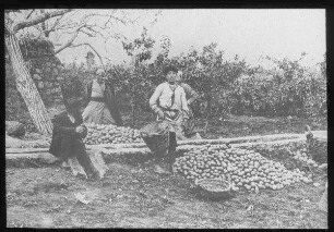 Jaffa, Apfelsinenernte 1912