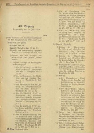 43. Sitzung, Donnerstag den 10. Juli 1919