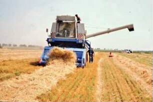 Mähdrescher E 516 mit Schwadaufnehmer