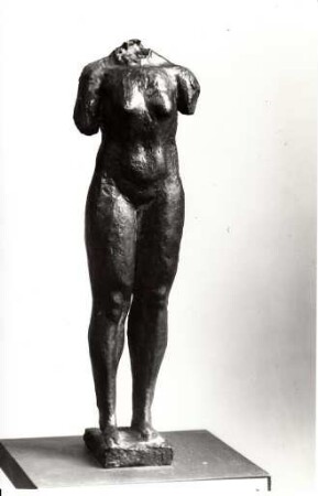Weiblicher Torso