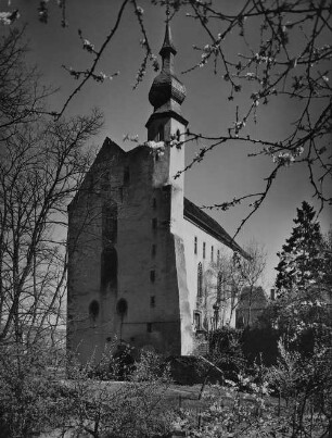 Archivfotografie "neckar_neckarelz_p148"