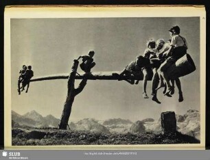 Die Wippe auf der Gotzenalm