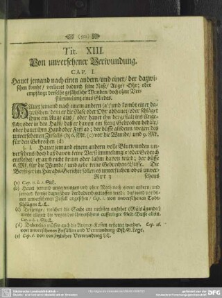 Tit. XIII. Von unversehener Verwundung