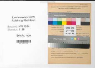 Entnazifizierung Ingo Schulz , geb. 06.11.1885 (Oberst)