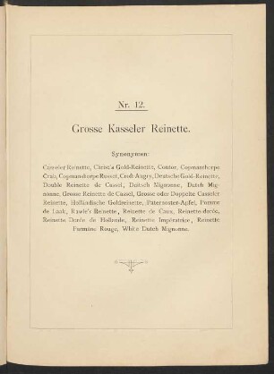 Nr. 12. Apfel: Grosse Kasseler Reinette