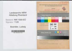 Entnazifizierung Ludwig Boerstler, geb. 03.04.1887 (Einzelhaendler)