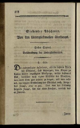 Siebenter Abschnitt. Von den Untergliedmaßen überhaupt.