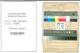 Entnazifizierung Herbert Schirmer , geb. 01.04.1901 (Kaufmann)