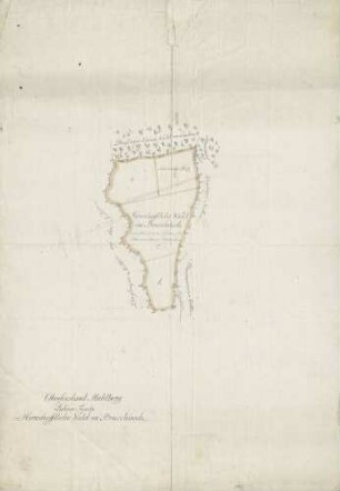 Oberforstamt Mahlberg Lahrer Forst, Herrschafftliche Wald im Bruckhirsch
