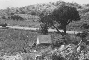 Zeltlager in der Euphorbienformation : Savannenlandschaft mit Kakteen, Zelten und Expeditionsmitgliedern