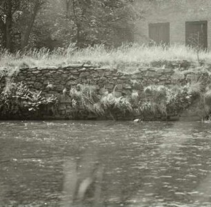 Mulde, Kleinvoigtsberg, 1991
