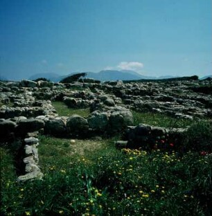 Wohnhäuser in Gournia : Gournia (Kreta). Wohnhäuser auf dem Stadthügel