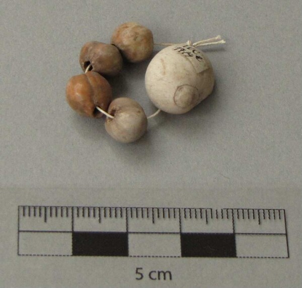 Shell beads and snail shells