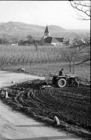 Burkheim: Traktor mit Egge, Hintergrund Ort, von oben