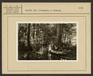 Spreewaldmotiv für Ansichtskarte: Hochwald im Spreewald. Festtagstracht aus dem Spreewald und Landschaft. : Motiw za pohladnicu: Swjedźenska drasta Błótowčankow a Błótowska krajina.