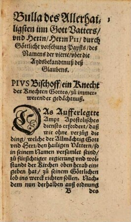 Schatzbüchlein gottsäliger und katholischer underweisungen der christlichen jugent ...