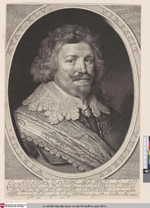 [Gaspard de Coligny, Marschall von Frankreich; Gaspard de Coligny, Marshal of France]