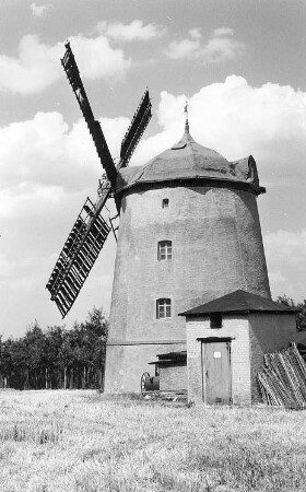 Doberschütz-Paschwitz. Mühle Friedemann, Turmholländer, Mühlweg 4