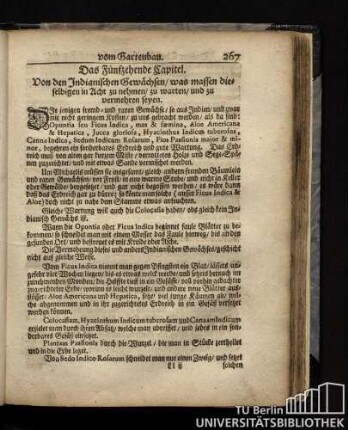 Das Fünfzehnte Kapitel